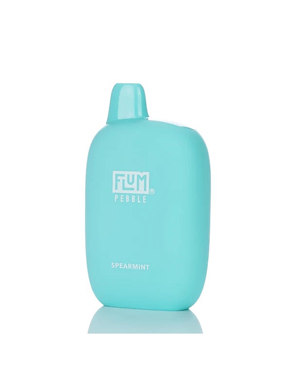 Flum Pebble Disposable Vape (5%, 6000 Puffs) - Spe...