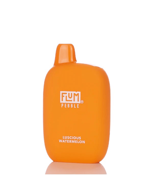 Flum Pebble Disposable Vape (5%, 6000 Puffs)